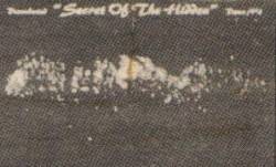 Disemburied : Secret of the Hidden